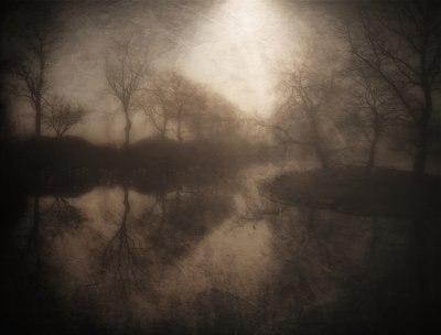 Reflet dans la forêt brumeuse - Bill Eiffert