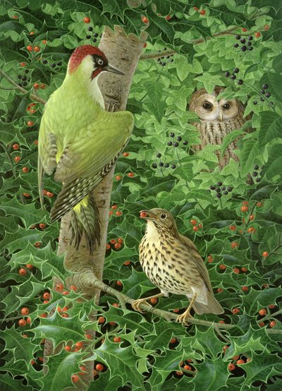 Pic, hibou et grive - Birgitte Hendil