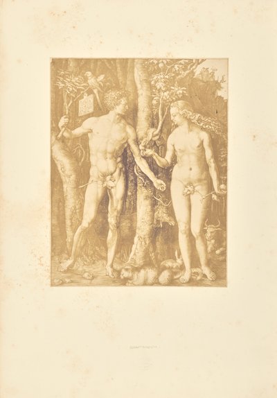 Adam et Ève - Bisson Frères