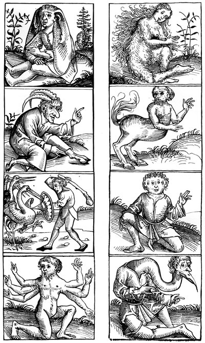 Croyances et superstitions populaires, 1493 1849 - Bisson and Cottard