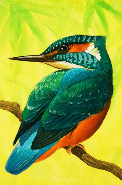 Kingfisher. - Bob Hersey