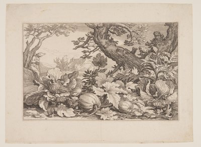 Planche 13, tirée de Paysages avec fermes - Boetius Adams Bolswert