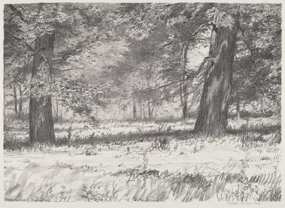 Deux érables - Bolton Brown
