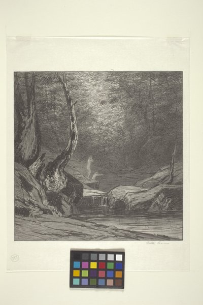Arbre tordu - Bolton Coit Brown