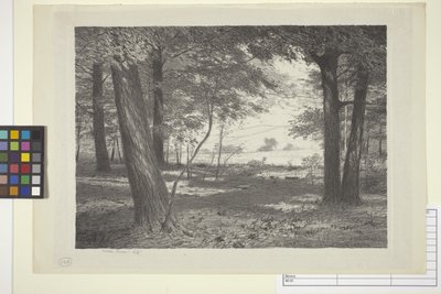 Bord De La Forêt - Bolton Coit Brown