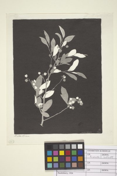 Myrtille - Bolton Coit Brown