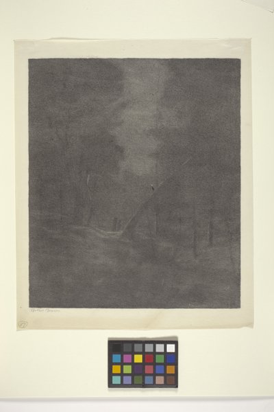 Bois Au Clair De Lune - Bolton Coit Brown