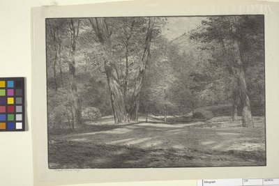 Bois de la Sierra - Bolton Coit Brown