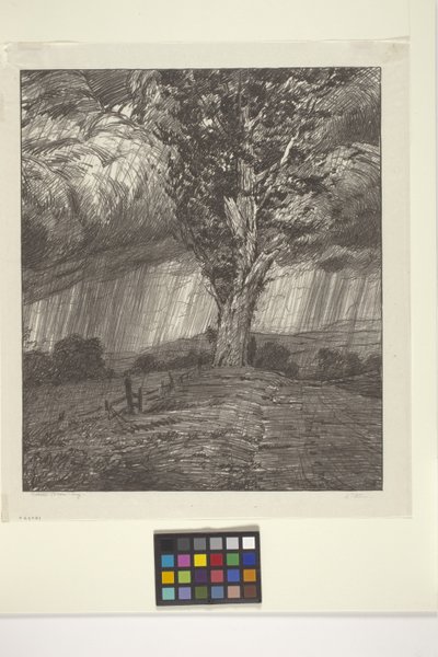 Tempête - Bolton Coit Brown