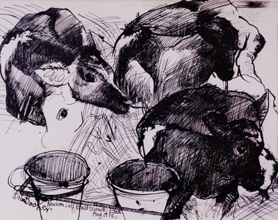 Veaux, humides, nouveau-nés, 1978 - Brenda Brin Booker