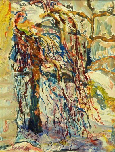 Saule dans la neige - Brenda Brin Booker
