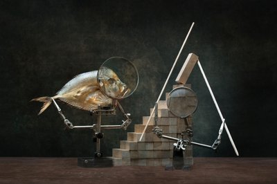  - Brig Barkow