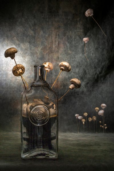  - Brig Barkow