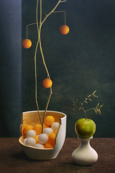  - Brig Barkow