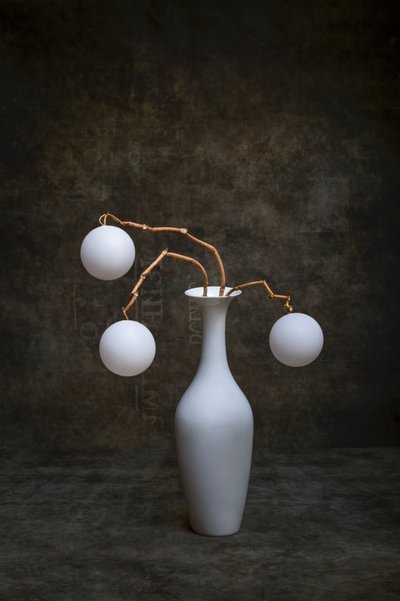 Présentation minimaliste de vase - Brig Barkow
