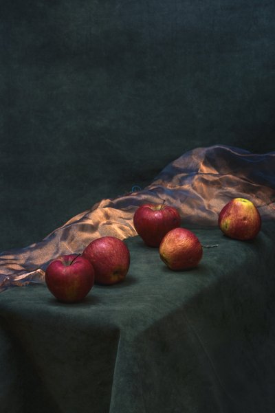  - Brig Barkow