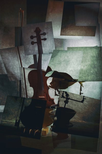 Nature morte mélancolique au violon - Brig Barkow