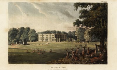 Troupeau de cerfs devant Trentham Hall - British School