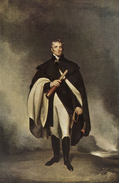 Le Duc de Wellington K. G., fin 18e au 19e siècle - British School