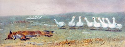 Un jeu de renard et d