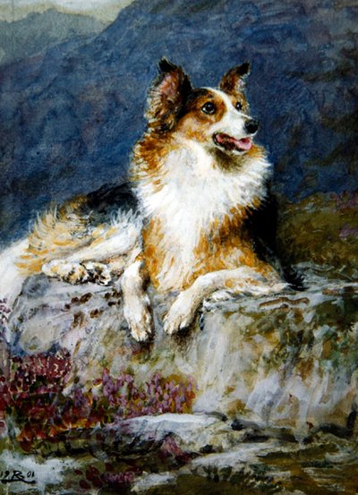 Colley dans un paysage - Briton Riviere