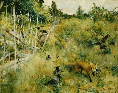 Un renard attrapant un corbeau - Bruno Andreas Liljefors