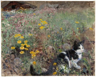 Chat dans une prairie fleurie - Bruno Andreas Liljefors