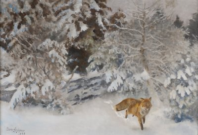 Renard dans un paysage d