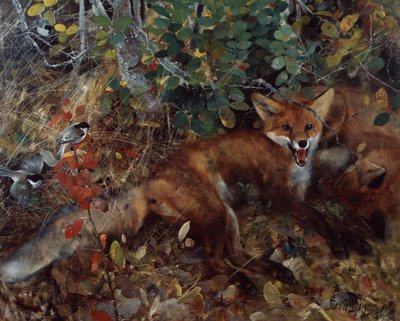 Renards - Bruno Andreas Liljefors