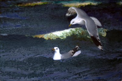 Mouettes - Bruno Andreas Liljefors