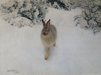 Lièvre en hiver - Bruno Andreas Liljefors