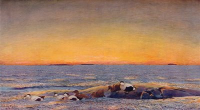 Lever de soleil, 1896 - Bruno Andreas Liljefors