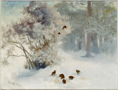 Nourrissage des oiseaux dans la neige - Bruno Andreas Liljefors
