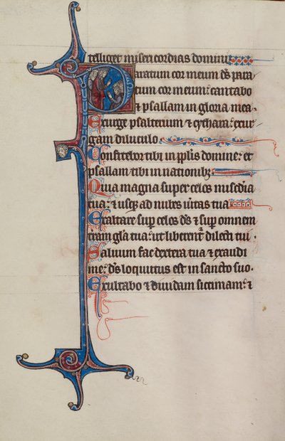 Initial P : David s