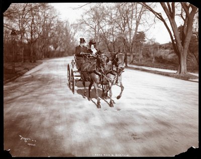 Anna Held et Florenz Ziegfeld conduisant une calèche, New York, 1904 - Byron Company