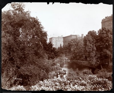 Central Park avec vue sur les hôtels Savoy et Plaza, 5ème Avenue et 59ème Rue, New York, vers 1896-98 - Byron Company