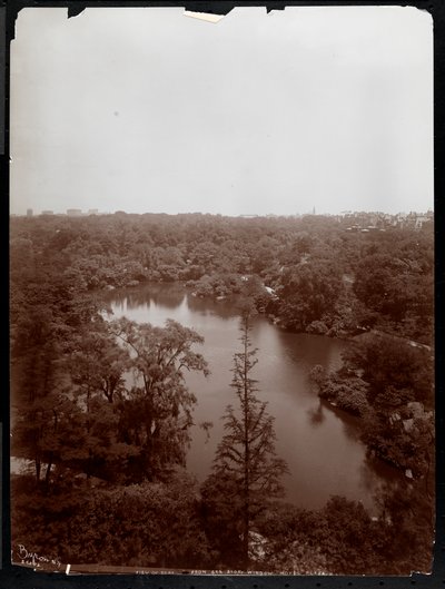 Vue de Central Park depuis le 4e étage de l
