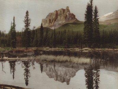 Montagne du Château - Byron Hill Harmon