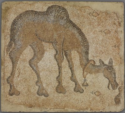 Fragment de mosaïque avec chameau broutant - Byzantine