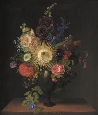 Un cactus grandiflora et d