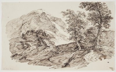 Paysage de montagne avec arbres - C.F. von Rumohr