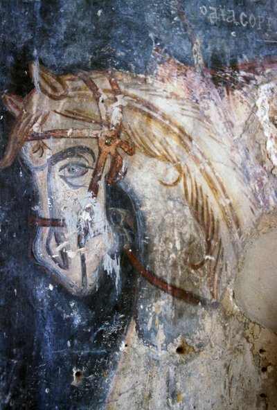 Cheval, détail d
