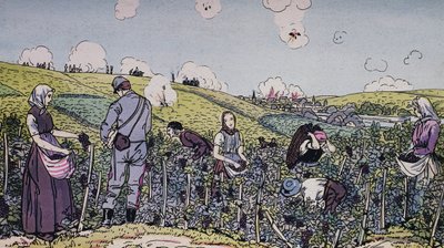 Nos vignerons récoltés sous le feu, la récolte dans la région de Champagne en 1914, Première Guerre mondiale, France, 20e siècle - J.B. and Brown J. Rowbotham