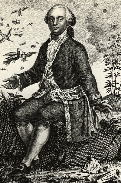 Portrait de Georges-Louis Leclerc de Buffon (1707-1788), naturaliste et mathématicien français, gravure - J.B. and Brown J. Rowbotham