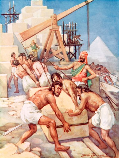 Où les rois d