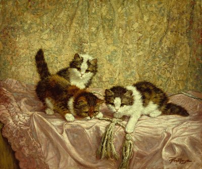 Chatons joueurs (huile sur toile) - C. Raaphorst
