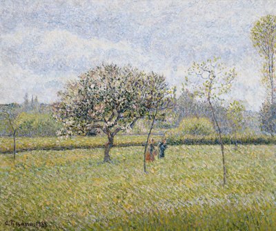 Pommier en fleur à Éragny, 1888 - Camille Jacob Pissarro