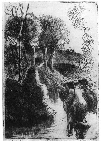 Vachère au bord de l