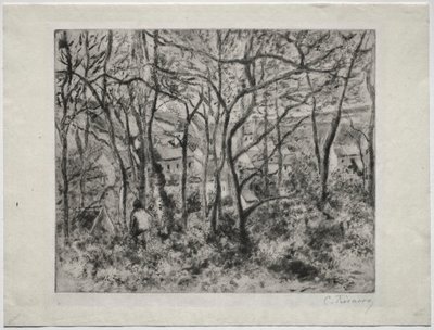 Paysage boisé à L