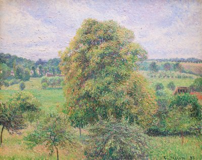 Grand noyer à Éragny - Camille Pissarro